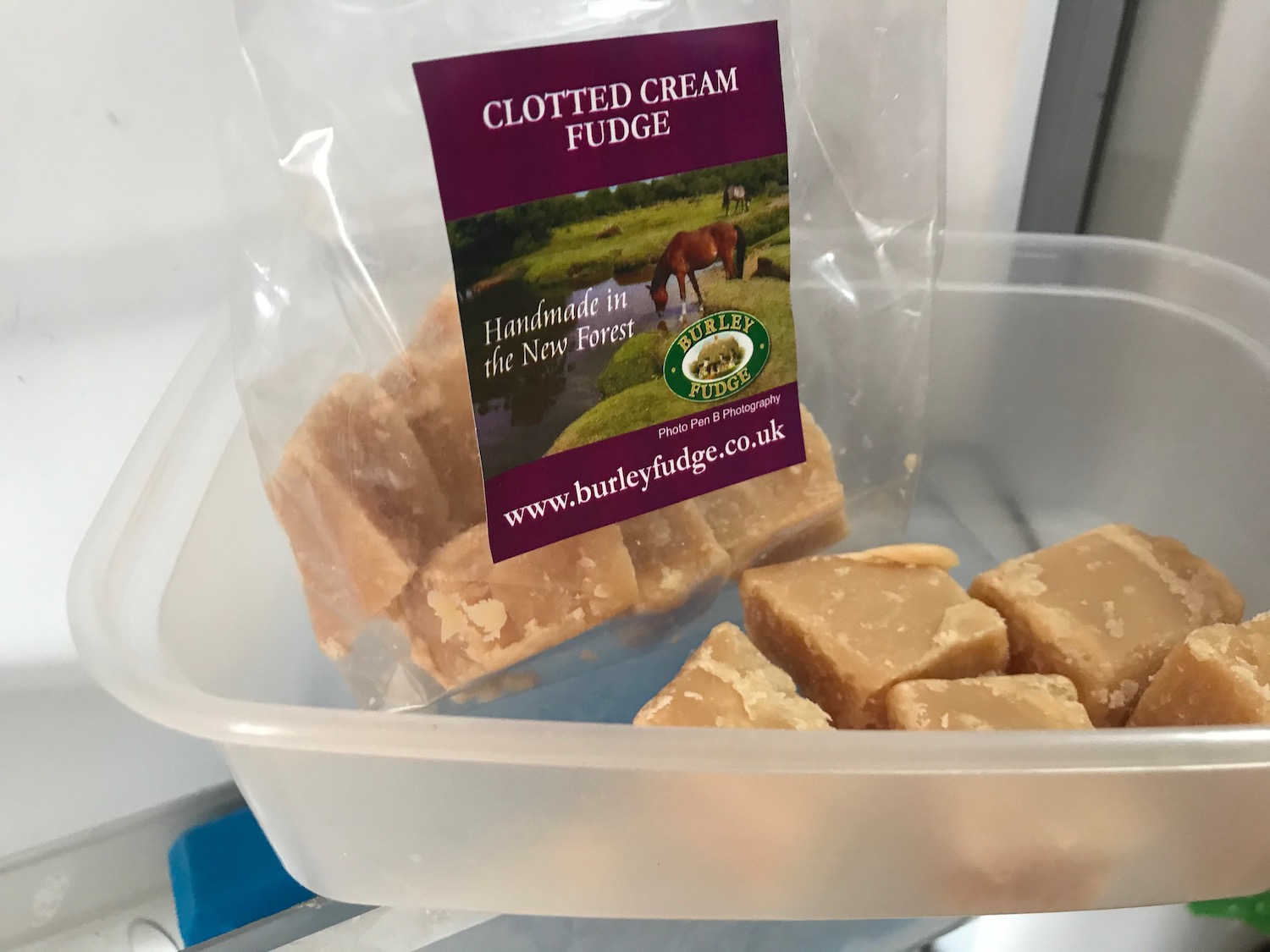 Have you ever tried frozen fudge?