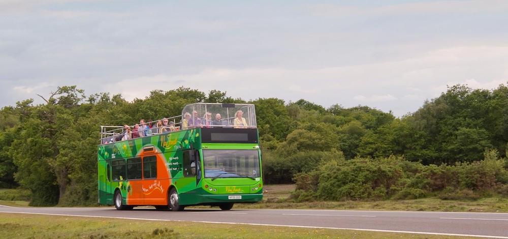 The New Forest Tour